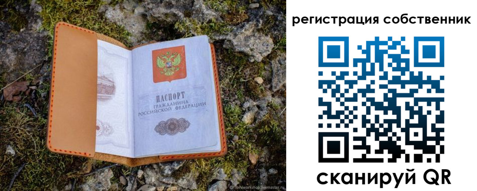 прописка поиск в Лисках